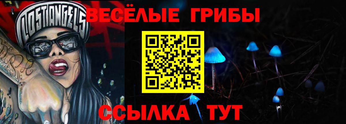 Галлюциногенные грибы GOLDEN TEACHER  Псилоцибиновые грибы мухоморы  Вход с VPN  Барнаул 